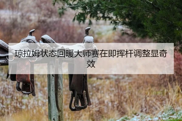 琼拉姆状态回暖大师赛在即挥杆调整显奇效